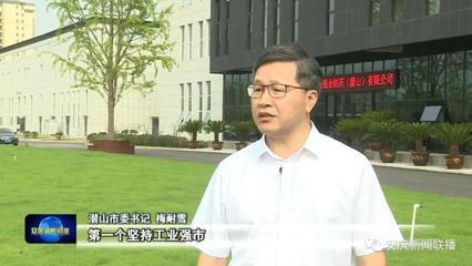 抓“双招双引” 开新局新篇 特色发展带动产业集聚 推深做实“双招双引”——访潜山市委书记梅耐雪